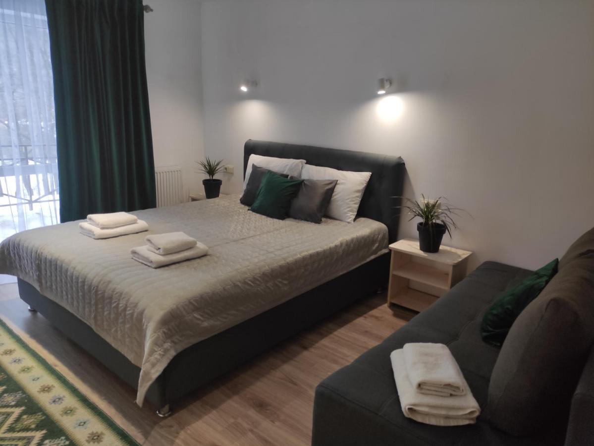 Guest House Svitliza Jaremcze Zewnętrze zdjęcie