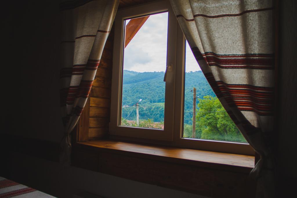 Guest House Svitliza Jaremcze Zewnętrze zdjęcie